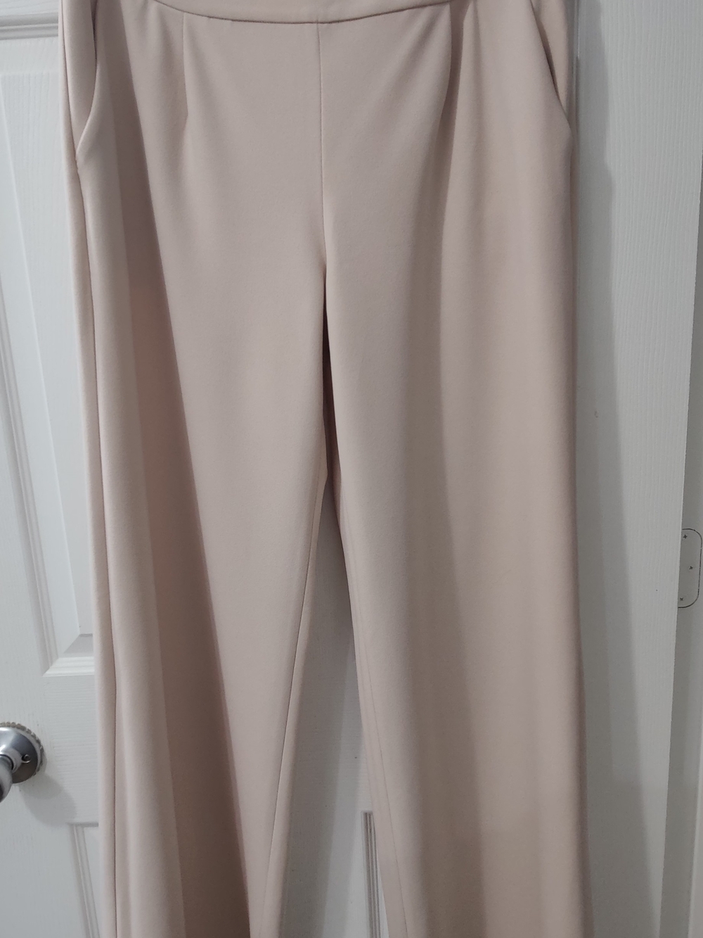 Express Wide-Leg Pants in Light Blush